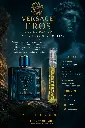 versace eros poster.webp